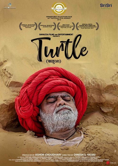 Turtle (2018)