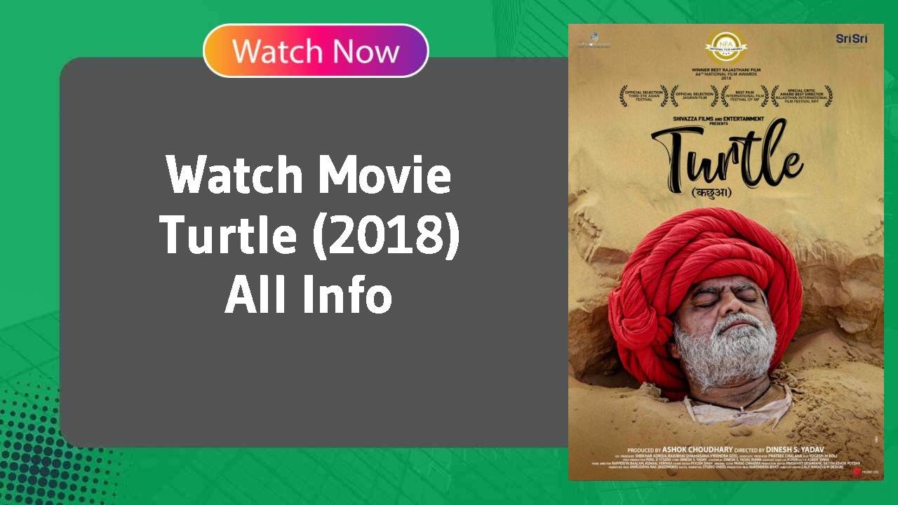 Turtle (2018)